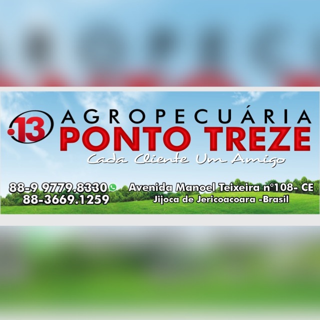 PONTO_TREZE
